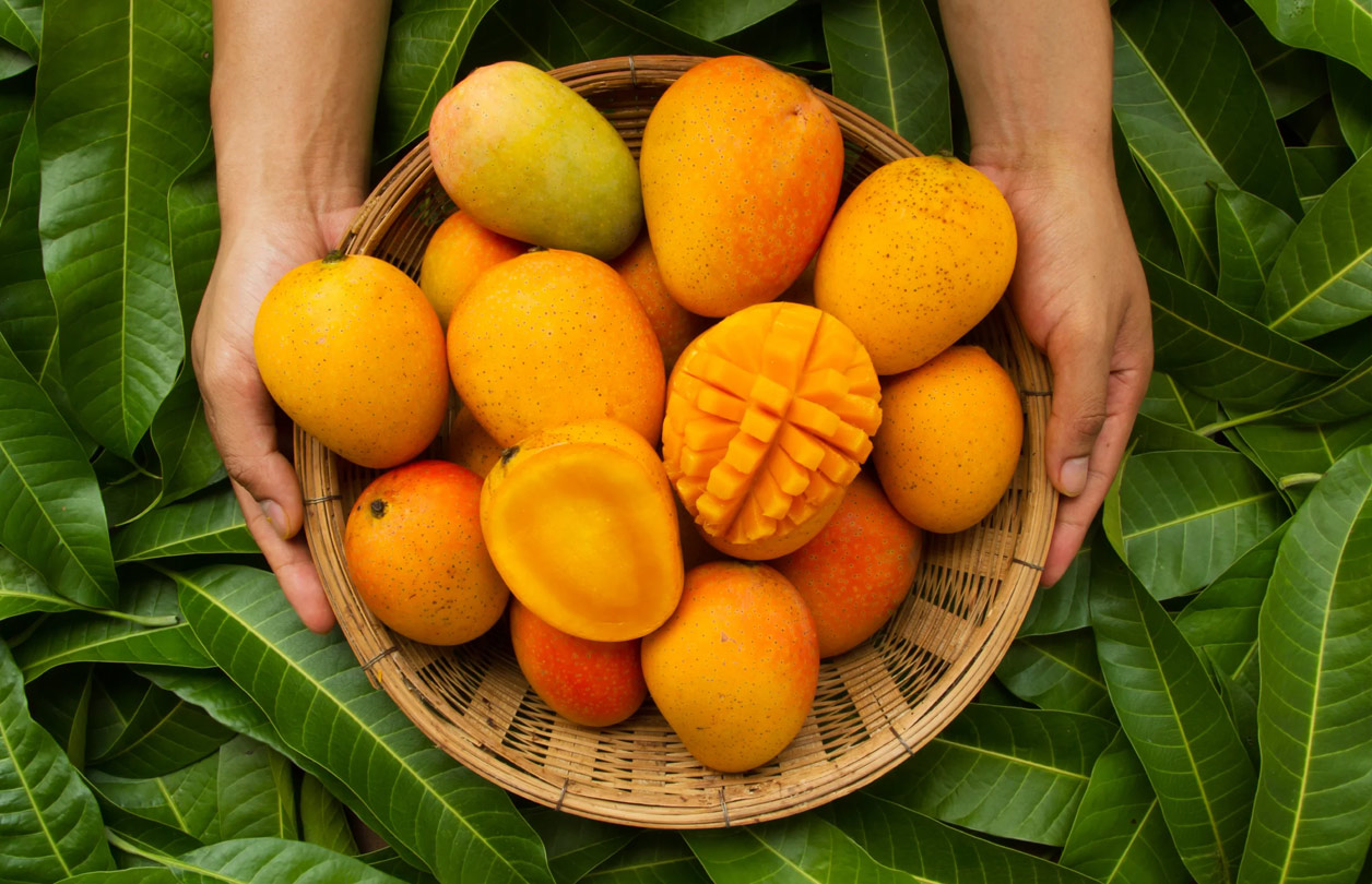 A medley of mangoes